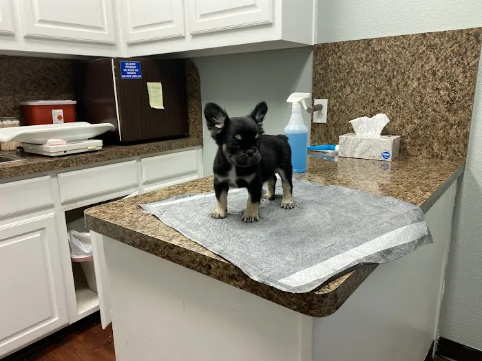 Waxahachie Veterinary Clinic Picture 9
