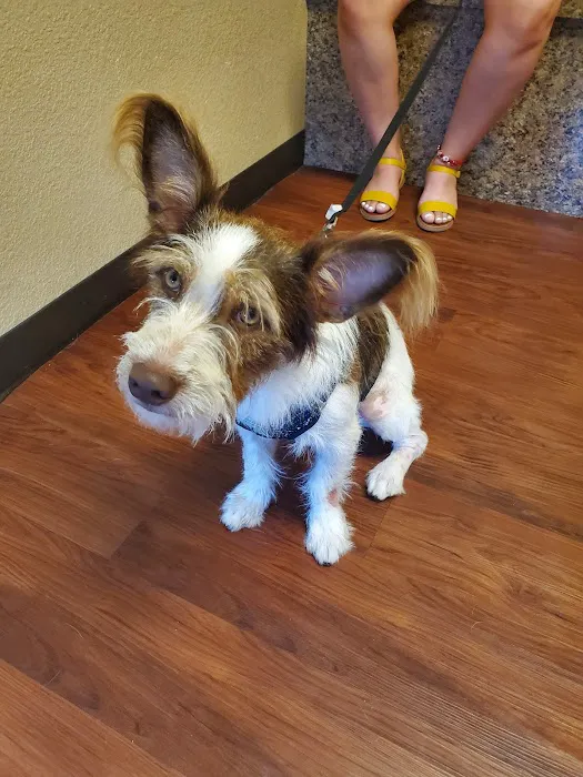 Waxahachie Veterinary Clinic Picture 10