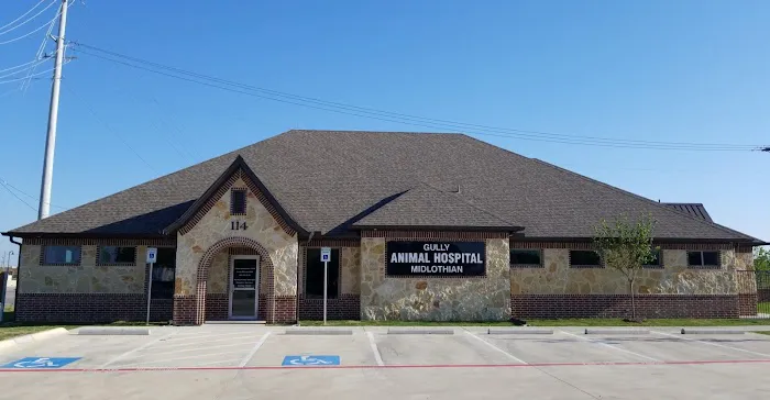 Gully Animal Hospital of Midlothian Picture 1