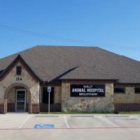 Gully Animal Hospital of Midlothian ico