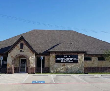 Gully Animal Hospital of Midlothian
