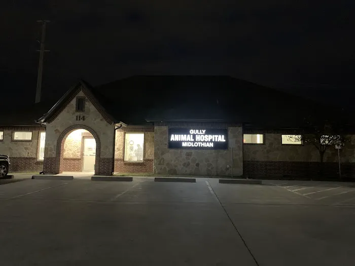 Gully Animal Hospital of Midlothian Picture 4