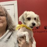 Ennis Veterinary Clinic