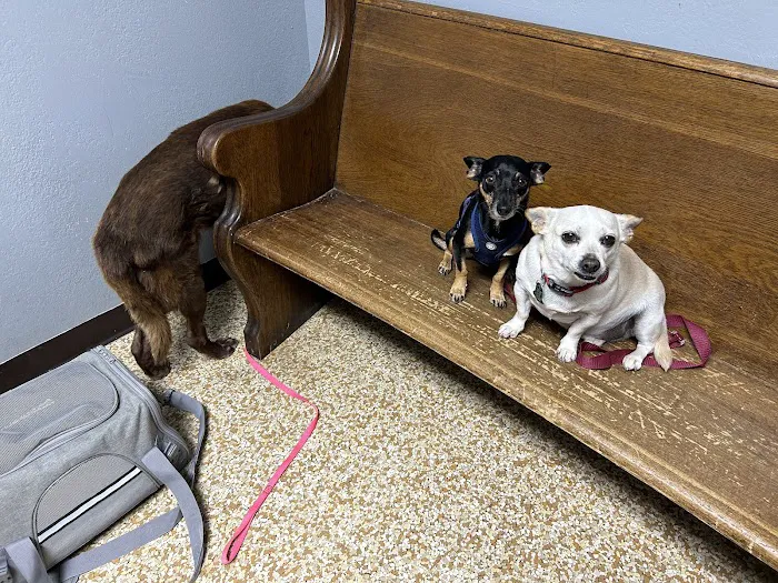 Ennis Veterinary Clinic Picture 4