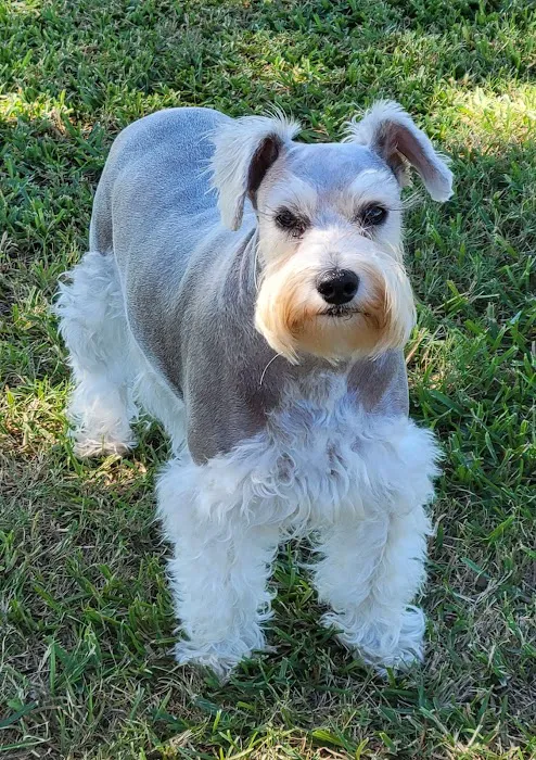 Ennis Veterinary Clinic Picture 9