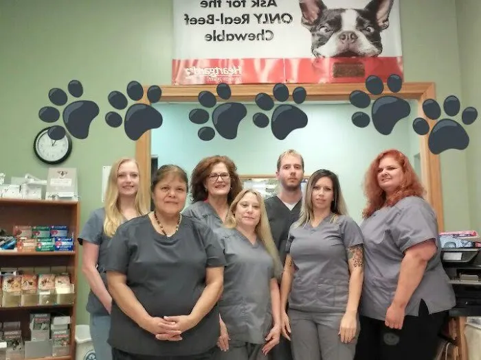 Rodeo Drive Veterinary Hospital Picture 2