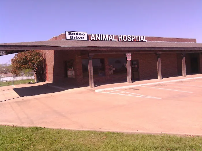 Rodeo Drive Veterinary Hospital Picture 1