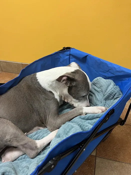 Banfield Pet Hospital Picture 2