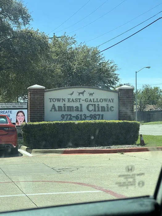 Banfield Pet Hospital Picture 9
