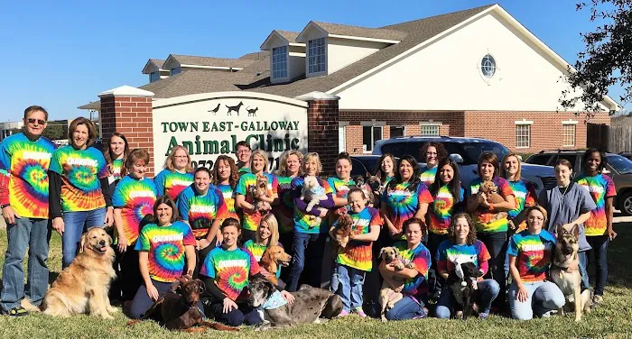 Town East-Galloway Animal Clinic Picture 4