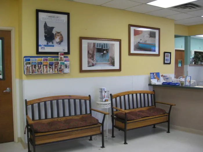 VCA Beltline East Animal Hospital Picture 2