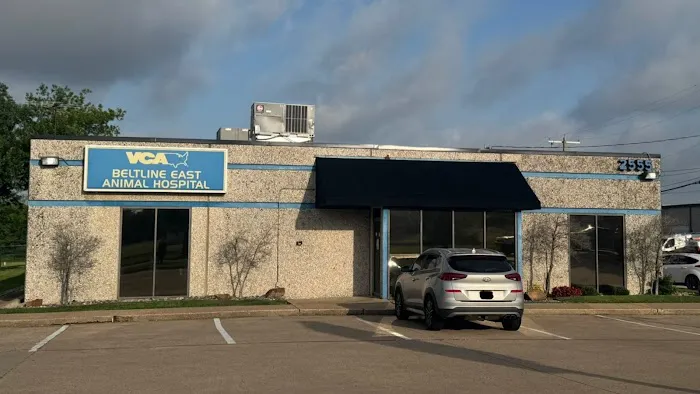 VCA Beltline East Animal Hospital Picture 1