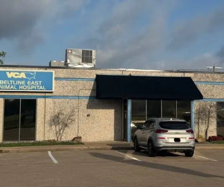 VCA Beltline East Animal Hospital