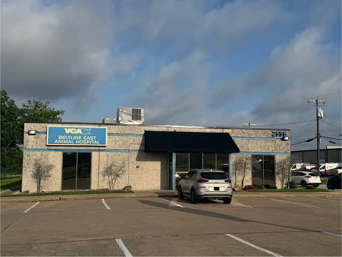 VCA Beltline East Animal Hospital Picture 3