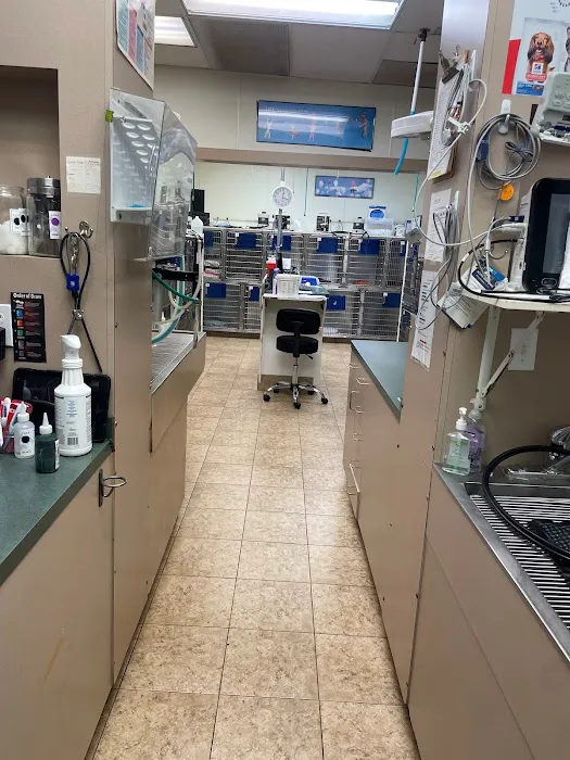VCA Beltline East Animal Hospital Picture 6