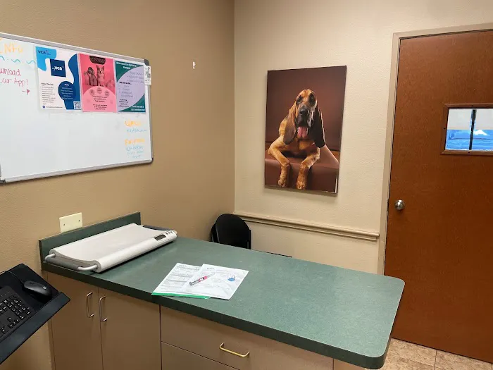 VCA Beltline East Animal Hospital Picture 10