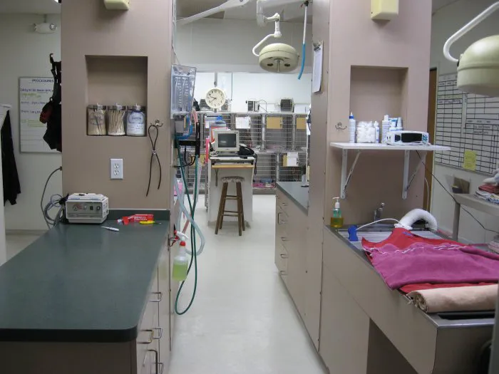 VCA Beltline East Animal Hospital Picture 9