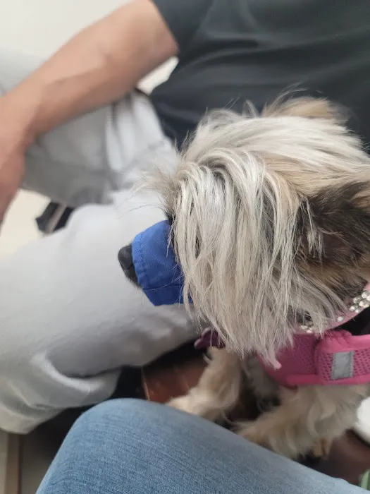 Centerville Road Animal Clinic Picture 8