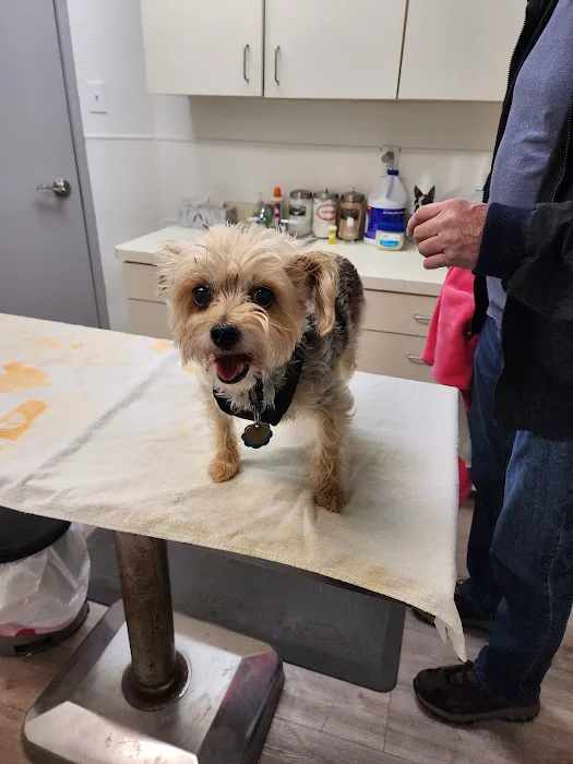 Club Hill Animal Clinic Picture 1