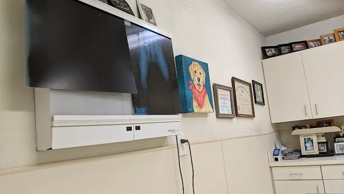 Club Hill Animal Clinic Picture 4