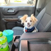 Healthy Paws Veterinary Medical Center ico