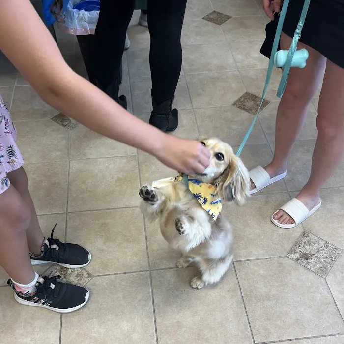 Healthy Paws Veterinary Medical Center Picture 4