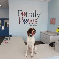 Family Paws Veterinary ico