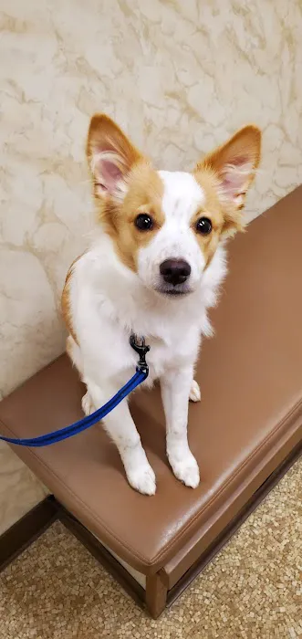 Humane Society of Macomb Animal Clinic Picture 8