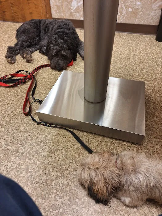 Humane Society of Macomb Animal Clinic Picture 10