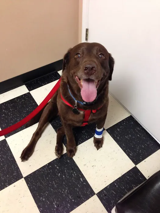 Cameron Medical Center for Animals Picture 7