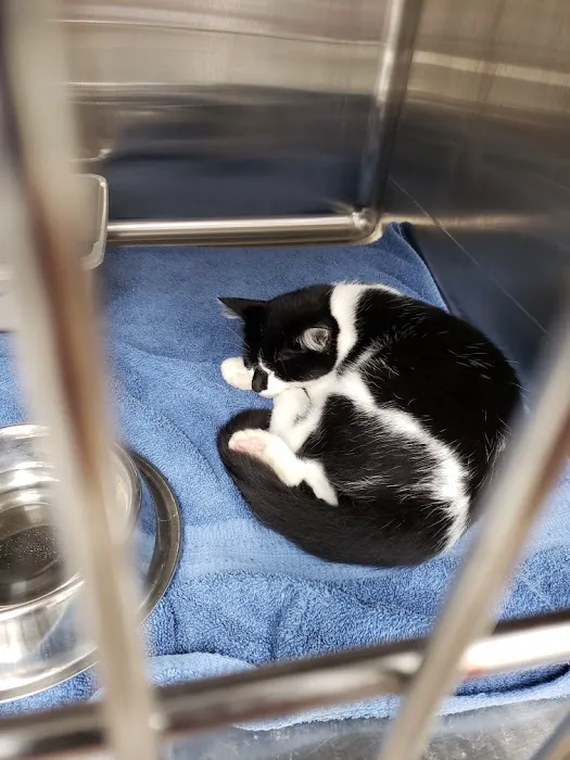 Companion Animal Care Clinic Picture 6