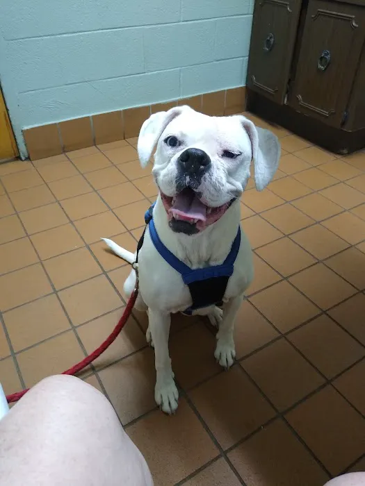 Nichols Veterinary Clinic Picture 5