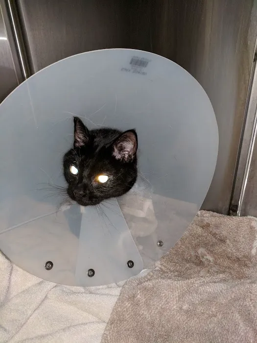 Nichols Veterinary Clinic Picture 6