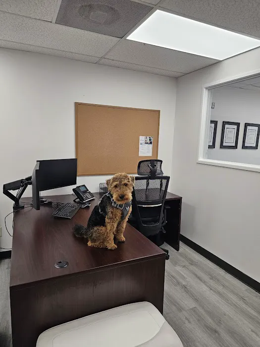 Riverview Animal Hospital Picture 4