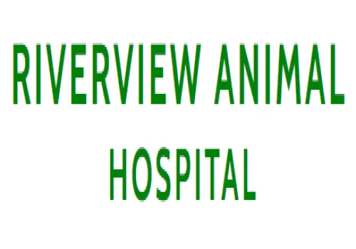 Riverview Animal Hospital Picture 9