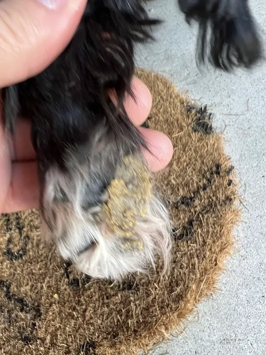 Banfield Pet Hospital Picture 1