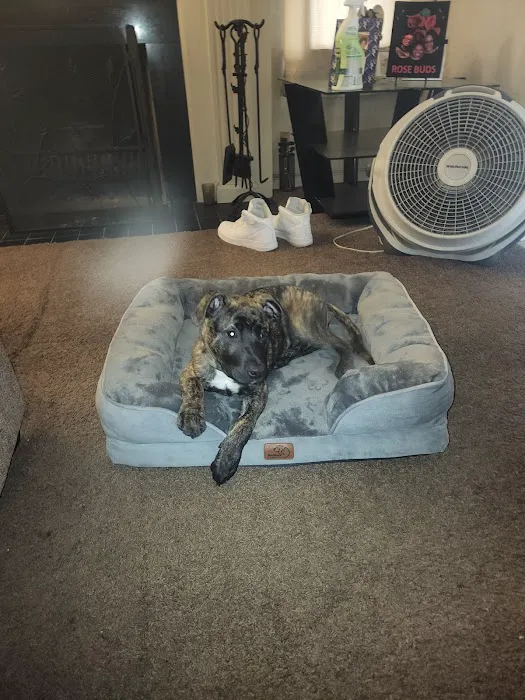 Banfield Pet Hospital Picture 4