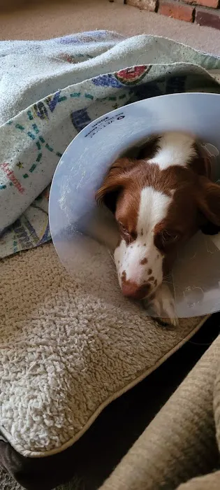 Banfield Pet Hospital Picture 10