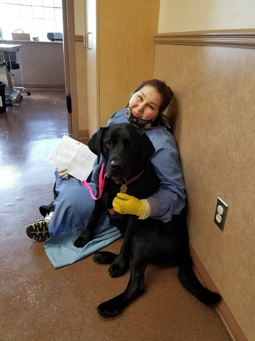 Parkway Veterinary Clinic Picture 5
