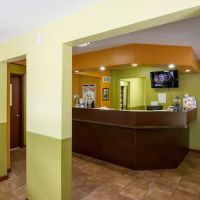 Northville Animal Hospital ico