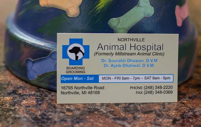Northville Animal Hospital Picture 6