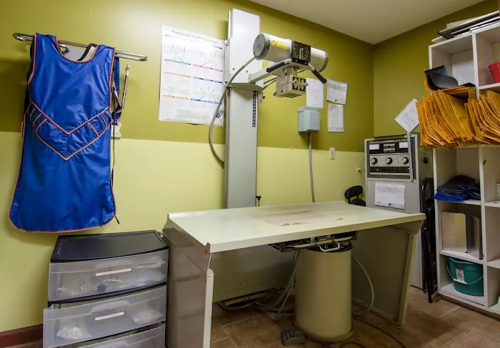 Northville Animal Hospital Picture 5