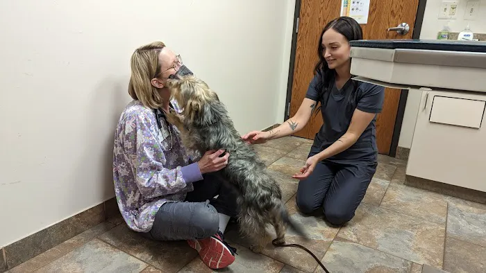 Roose Animal Hospital: Knight Karen L DVM Picture 2