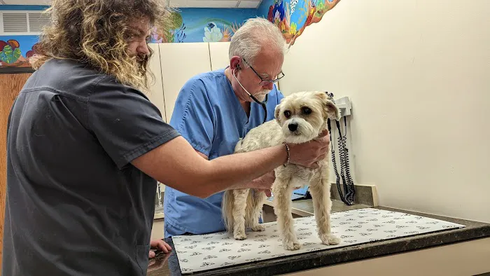 Roose Animal Hospital: Knight Karen L DVM Picture 3