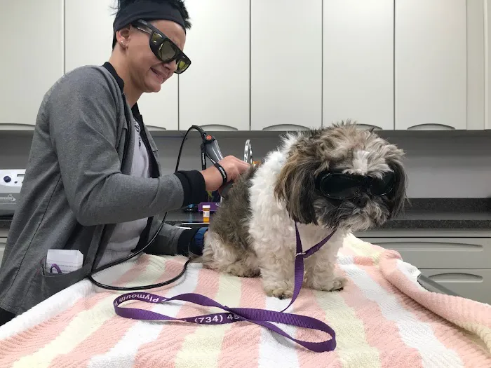 Plymouth Veterinary Hospital Picture 5