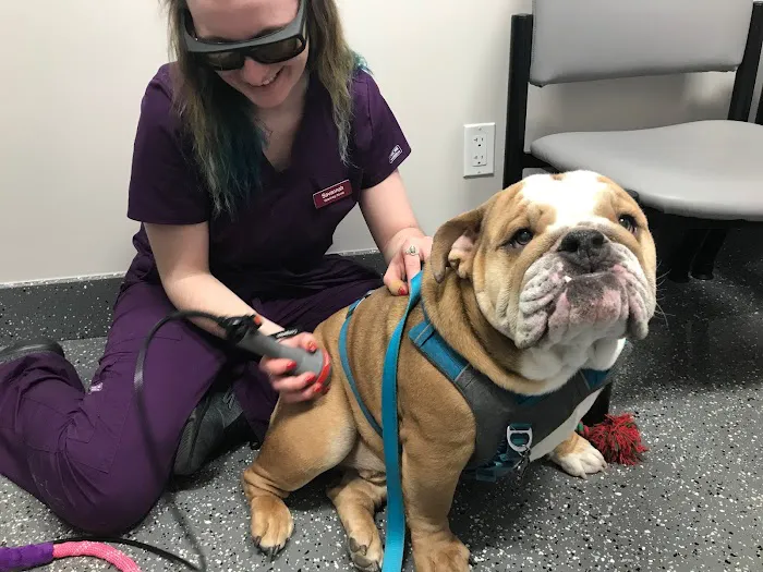 Plymouth Veterinary Hospital Picture 9