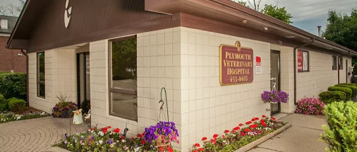 Plymouth Veterinary Hospital Picture 8