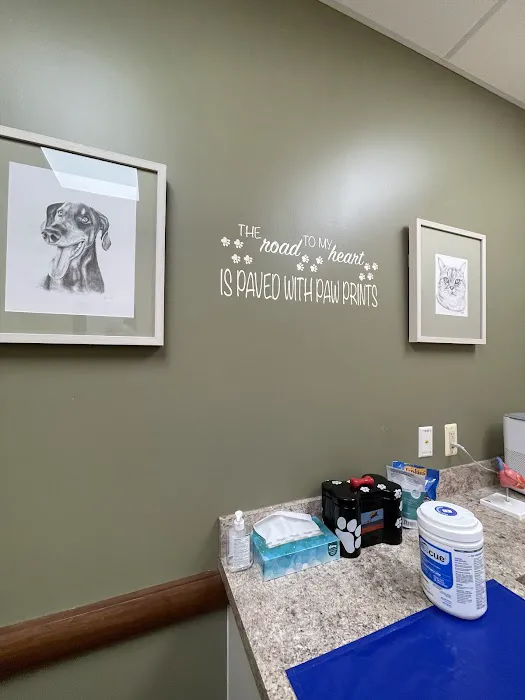 Veterinary Cardiology Consultants Picture 6