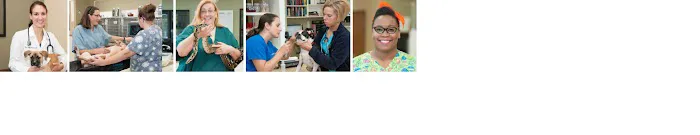 Animal Emergency Center - Novi Picture 1