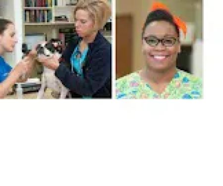 Animal Emergency Center - Novi